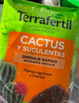 Cactus y Suculentas 5 L